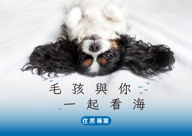 毛孩與你，一起看海住房專案